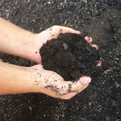 Slika Humus za vrt